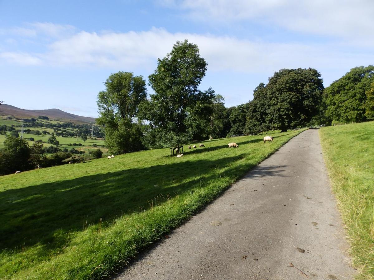 Plas Yn Yale With Mountain Views From All Windows Wrexham Buitenkant foto